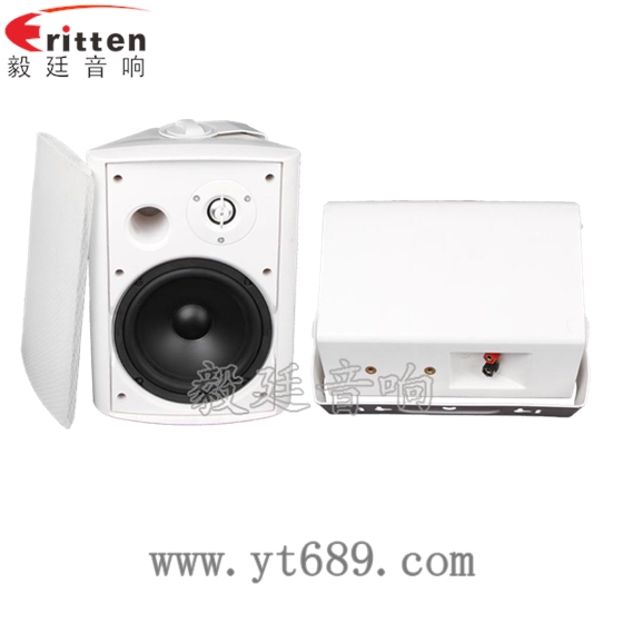 6.5寸2路墙壁音箱正反面 6.5寸2路墙壁音箱正反面