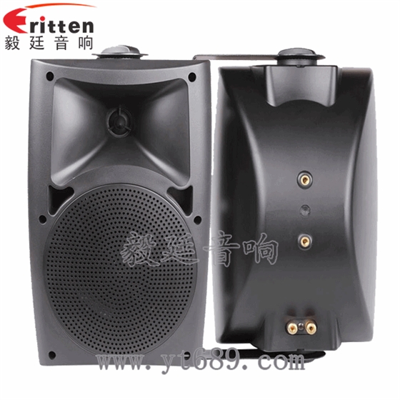 5.25寸2路壁挂音箱正反面 8''中低音舞台音箱喇叭厂家正反面