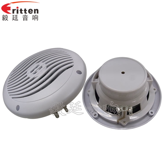 8''中低音舞台音箱喇叭厂家正反面