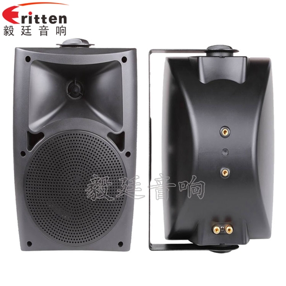 5.25寸墙壁音箱正反面 8''中低音舞台音箱喇叭厂家正反面