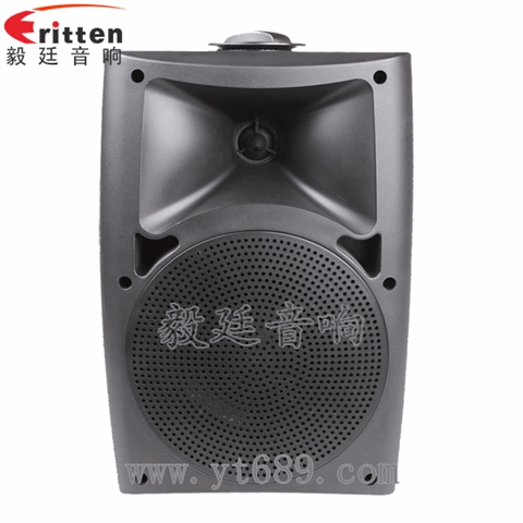 5.25寸2路壁挂音箱 5.25寸2路壁挂音箱