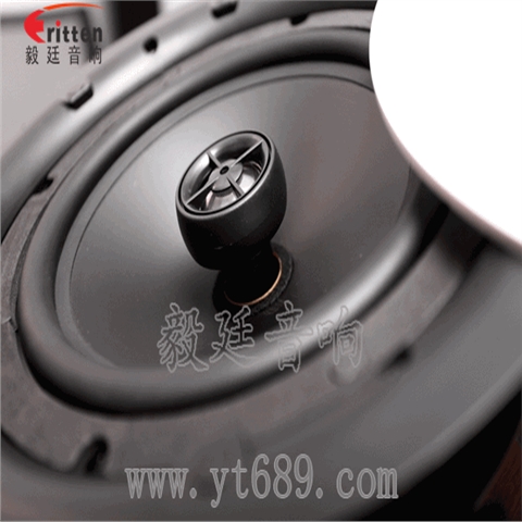 8寸天花吸顶喇叭 8寸天花吸顶喇叭