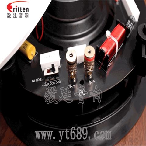 8寸天花吸顶喇叭 8寸天花吸顶喇叭