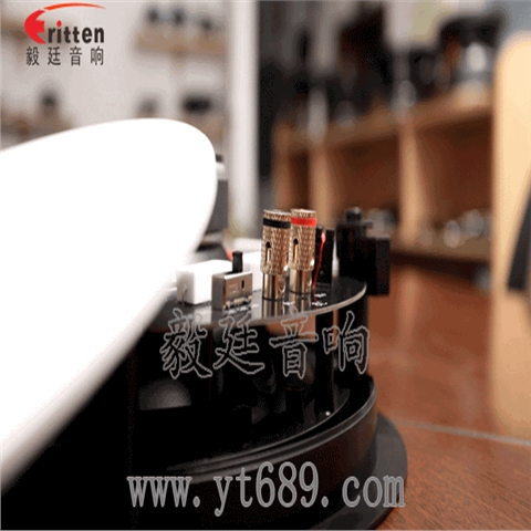 8寸天花吸顶喇叭 8寸天花吸顶喇叭