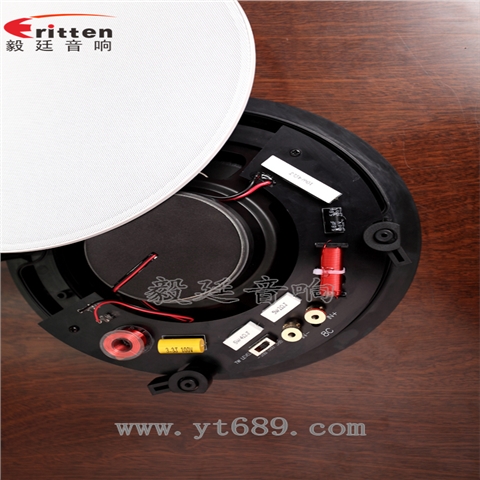 8寸天花吸顶喇叭 8寸天花吸顶喇叭