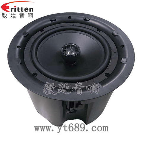 8寸25芯全频同轴天花喇叭