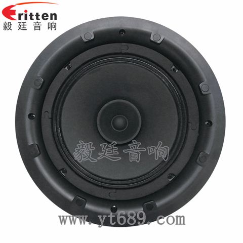 8寸25芯全频喇叭 8寸25芯全频喇叭