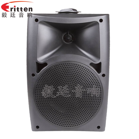 5.25寸墙壁音箱 5.25寸墙壁音箱