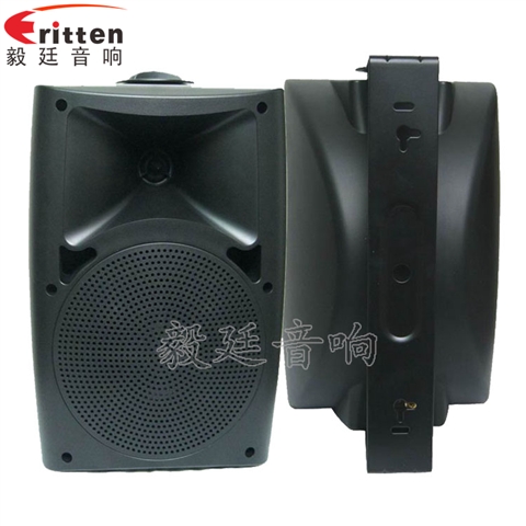 6.5寸墙壁音箱喇叭