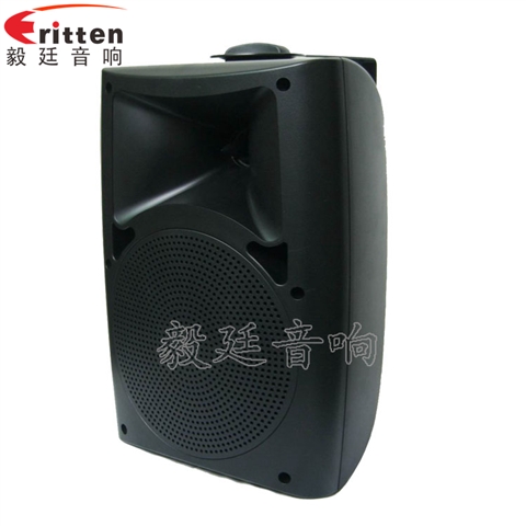 6.5寸墙壁音箱喇叭