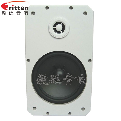 10寸专业音箱喇叭 10寸专业音箱喇叭