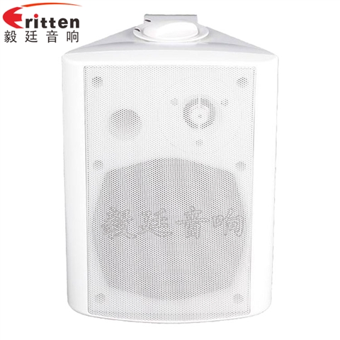 5.25寸挂壁音箱喇叭 5.25寸挂壁音箱喇叭