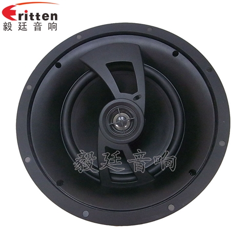 2路8寸吊顶喇叭