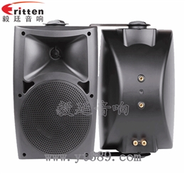 5.25寸2路壁挂音箱