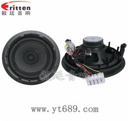 8寸25芯全频喇叭