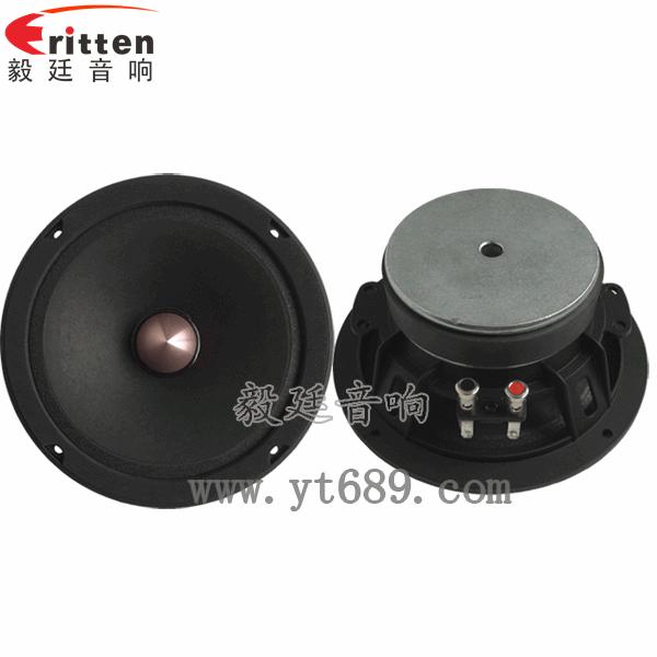 定制6.5寸中音喇叭--喇叭厂家正反面 8''中低音舞台音箱喇叭厂家正反面