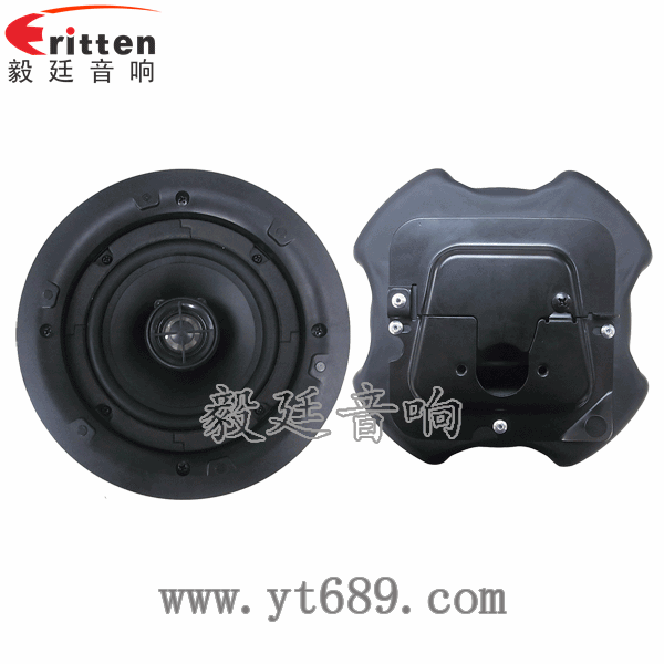 5.25寸圆筒吸顶天花喇叭正反面 8''250w 重低音喇叭正反面