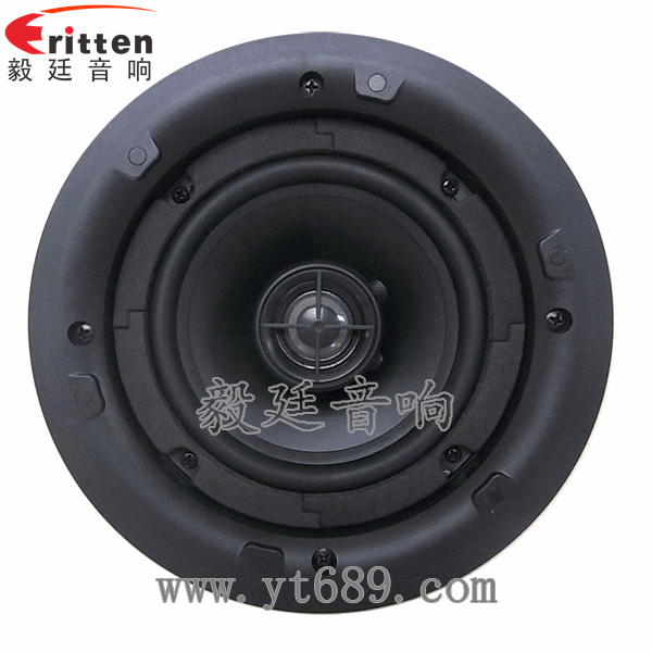 8''250w 重低音喇叭正面图