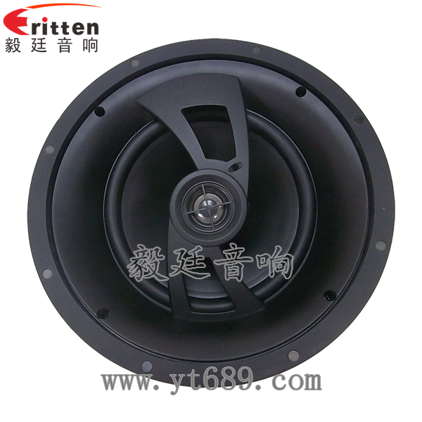 8''250w 重低音喇叭正面图