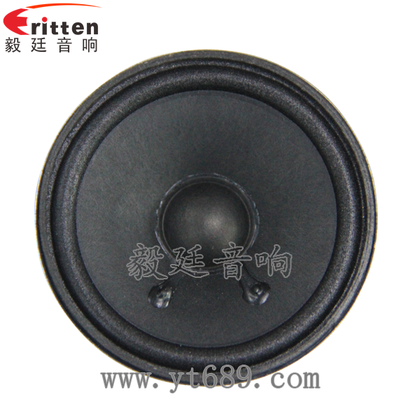2.5寸4Ω10w喇叭--喇叭厂家正面图