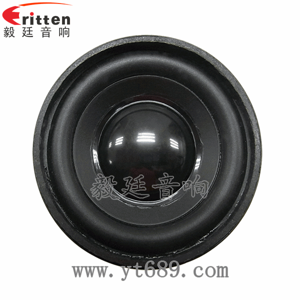 46mm5w高品质内磁学习机喇叭正面图