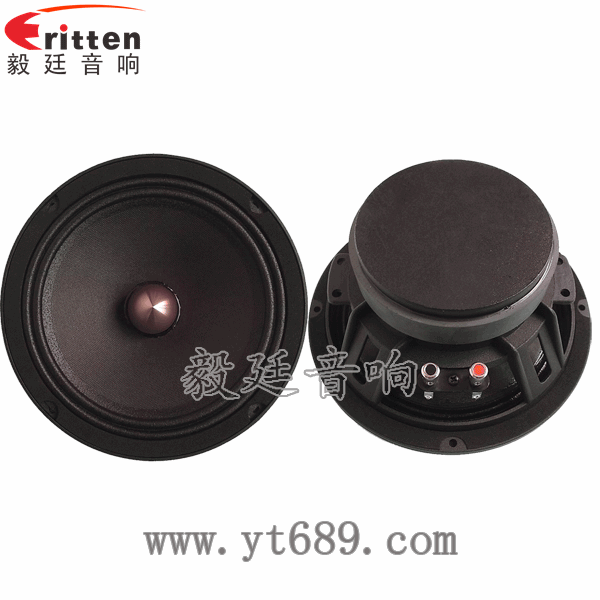 8''250w 重低音喇叭正反面