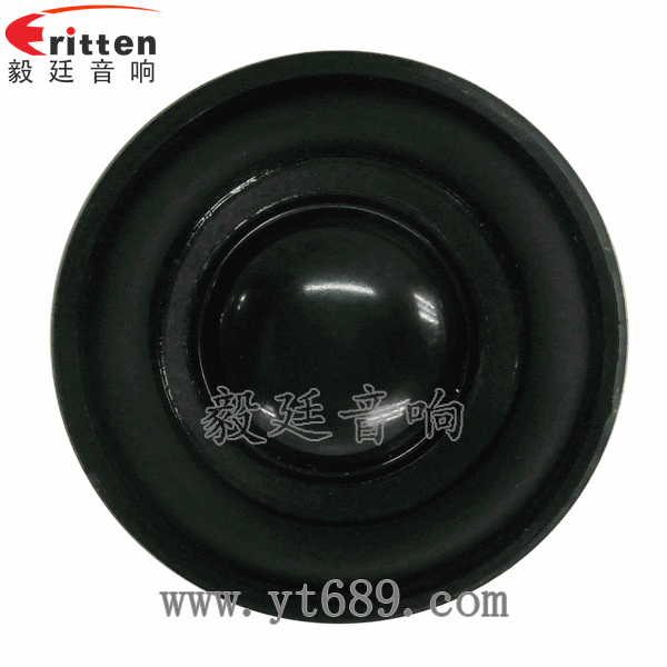 3瓦40mm外磁全频喇叭正面图