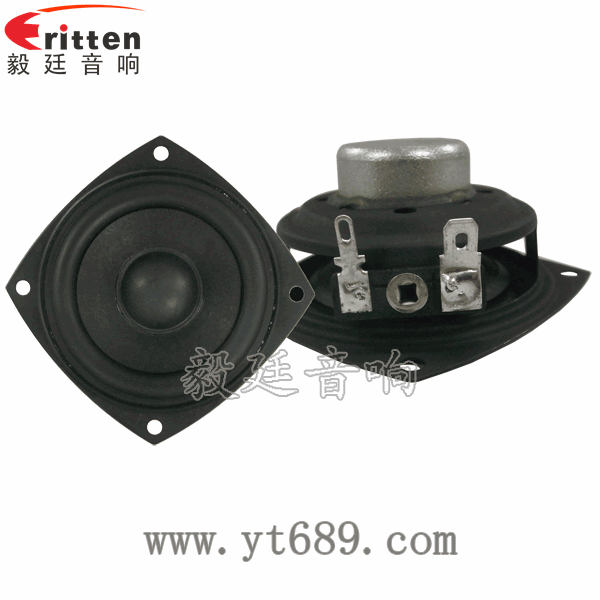 2.5寸20芯10瓦内磁全频喇叭正反面