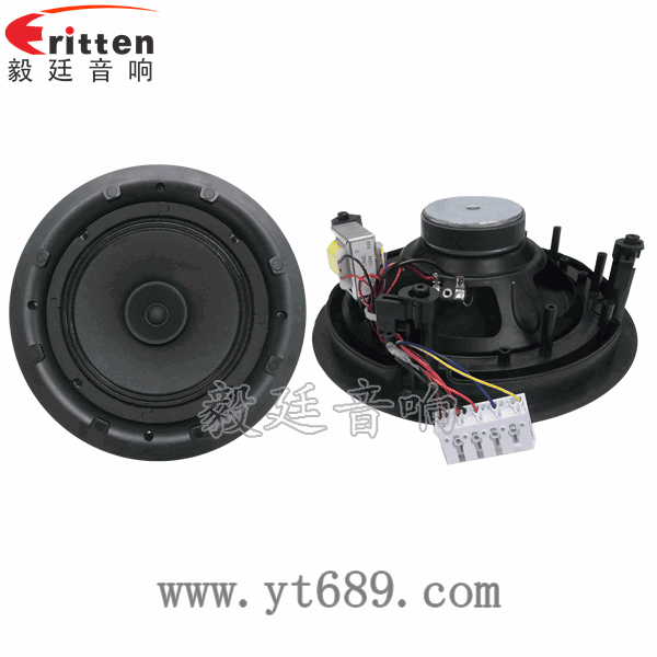 8寸25芯20瓦全频喇叭正反面 58mm20芯8瓦内磁全频喇叭正反面