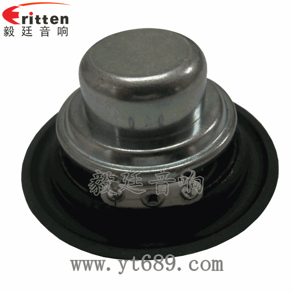 46mm5w高品质内磁学习机喇叭反面图