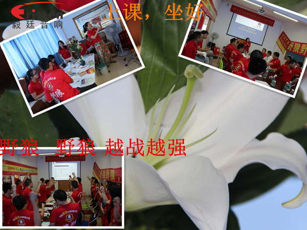 毅廷喇叭厂参与跟着野狼越战越强,金光闪闪的钱阿~钱 毅廷喇叭厂参与跟着野狼越战越强,金光闪闪的钱阿~钱