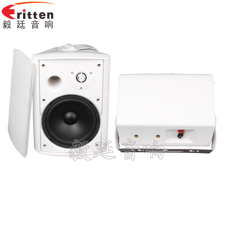 8''中低音舞台音箱喇叭厂家正反面