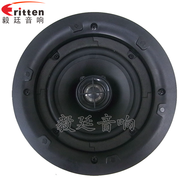 8''250w 重低音喇叭正面图