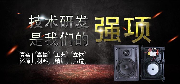 6.5寸(210*298mm)PP盆/橡胶边25.5mm芯全频天花音箱喇叭 6.5寸(210*298mm)PP盆/橡胶边25.5mm芯全频天花音箱喇叭