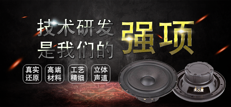 6.5寸40W全频3.2Ω汽车音响喇叭 6.5寸40W全频3.2Ω汽车音响喇叭