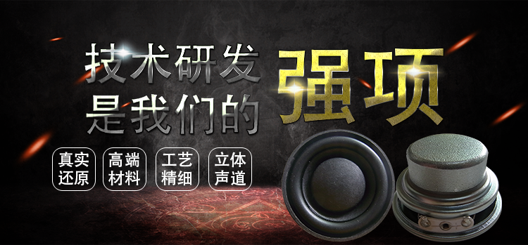 45mm喇叭-高品质喇叭 45mm喇叭-高品质喇叭